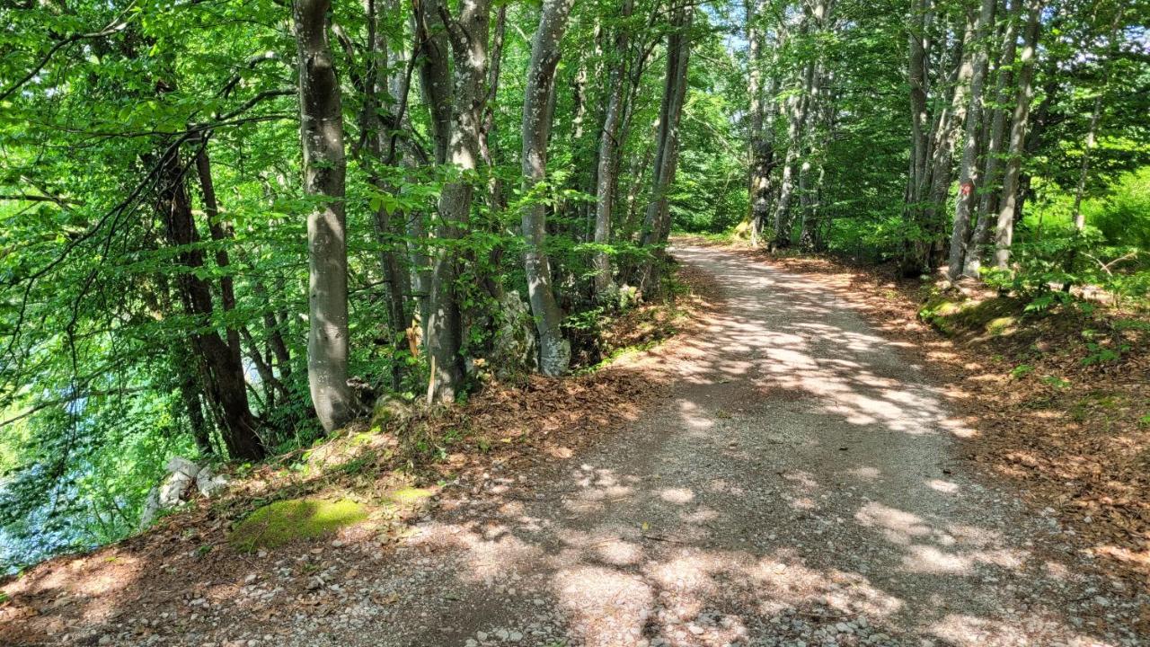 B&B Plitvica Villa Prica Plitvicka Jezera Luaran gambar
